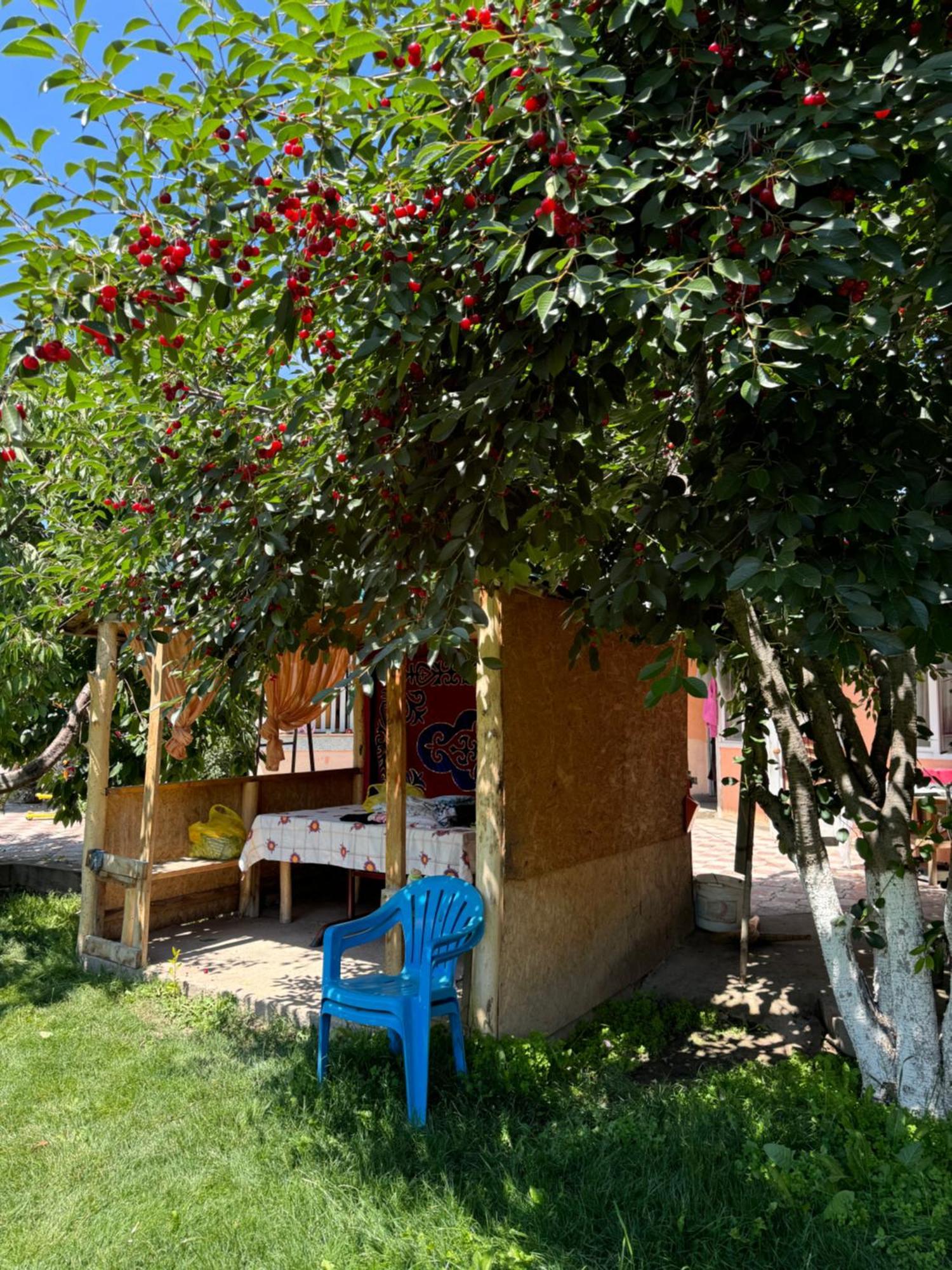 Hotel Ak-Keme Tossor Exterior foto